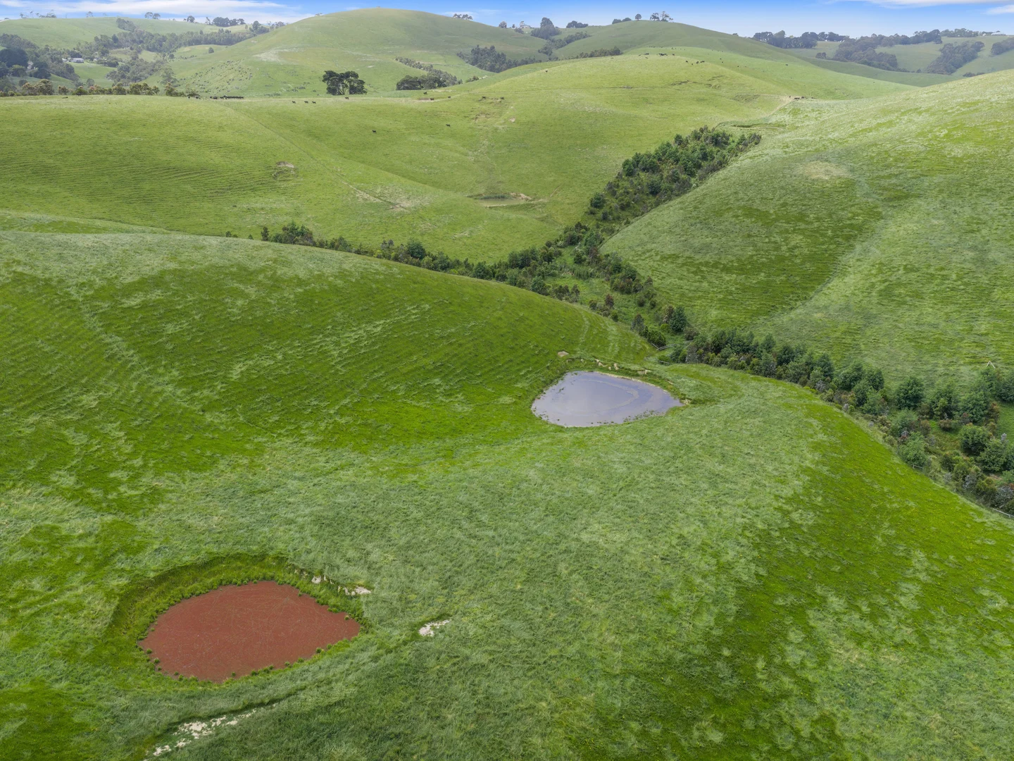 Additional image 4 of 1096 Grantville - Glen Alvie Road, Almurta VIC 3979