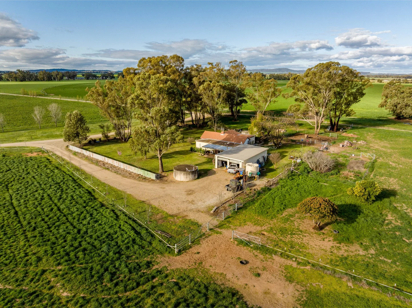 Additional image 26 of 1871 Old Narrandera Road, Euberta NSW 2650