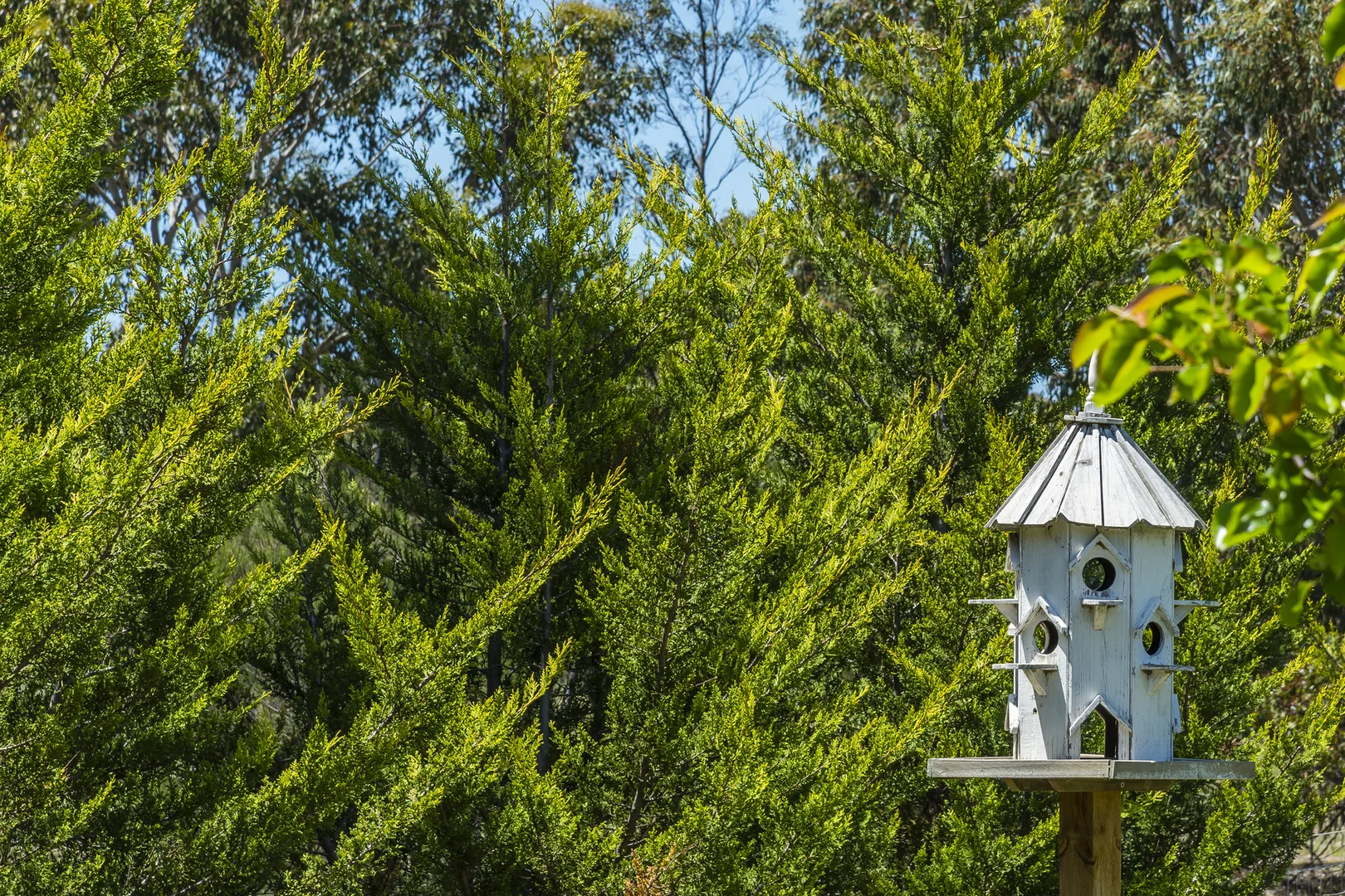 Additional image 30 of 53 King Drive, Lancefield VIC 3435