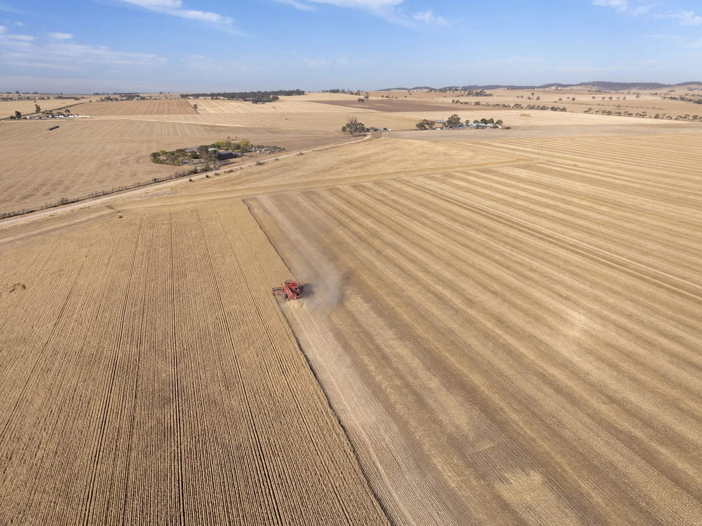 Additional image 28 of 'Leske Farm' Thiele Highway, Freeling SA 5372