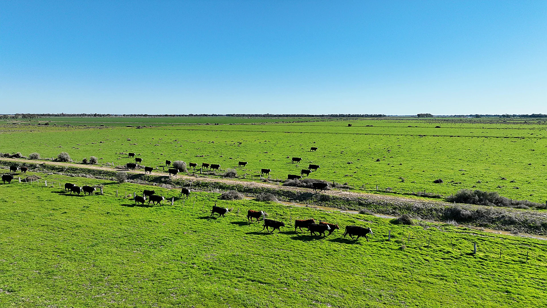 Additional image 5 of CA36, 40B & 41B Pyramid-Cohuna Road, Cohuna VIC 3568