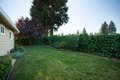 Additional image 49 of 1270 Maple Ave, Yuba City, CA, 95991