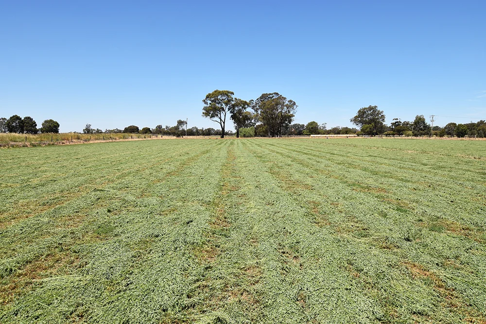 Additional image 3 of 800 Mason Road, Girgarre VIC 3624