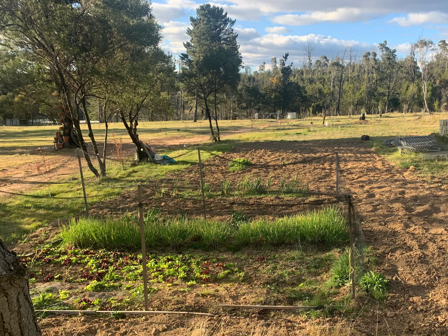 Additional image 32 of Tomboye NSW 2622