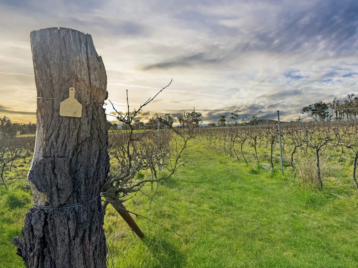 Additional image 4 of 376 Kingstown Road, Uralla NSW 2358