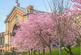 Additional image 31 of Plot Goldcrest House - D1.5.8.2, at L&Q at Alexandra Gate Mary Neuner Road, Haringey N8