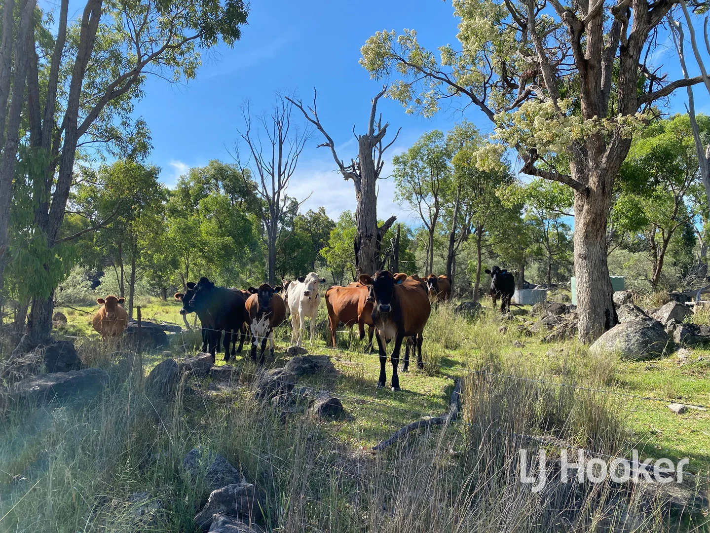 Additional image 3 of 1111 Karoola Road, Inverell NSW 2360