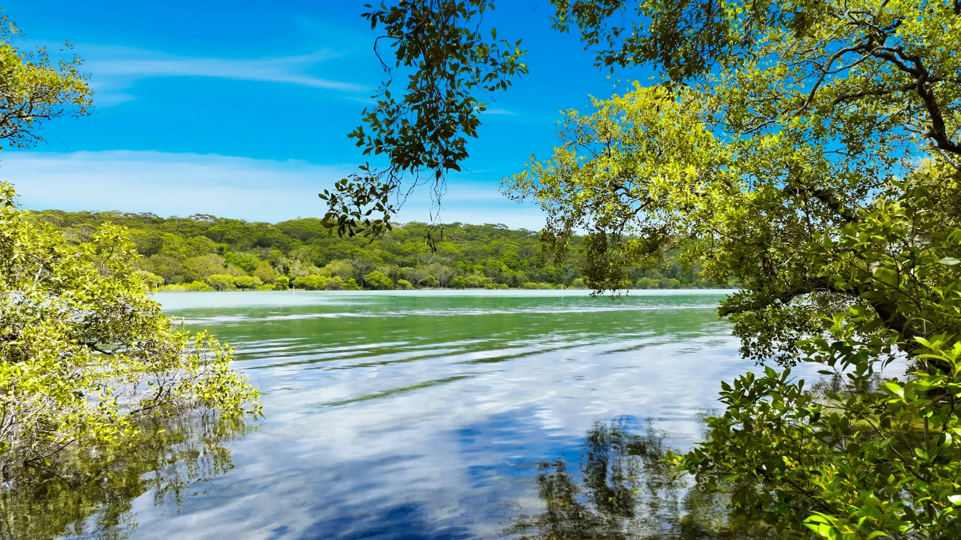 Additional image 23 of 7 Riverside Drive, Wooli NSW 2462