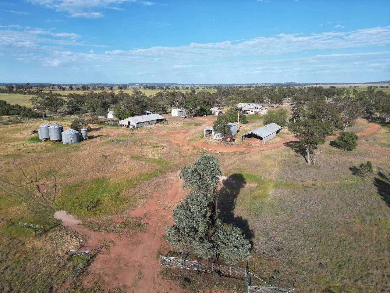 Additional image 7 of 'Cleveland' 548 Cunningtons Lane, West Wyalong NSW 2671