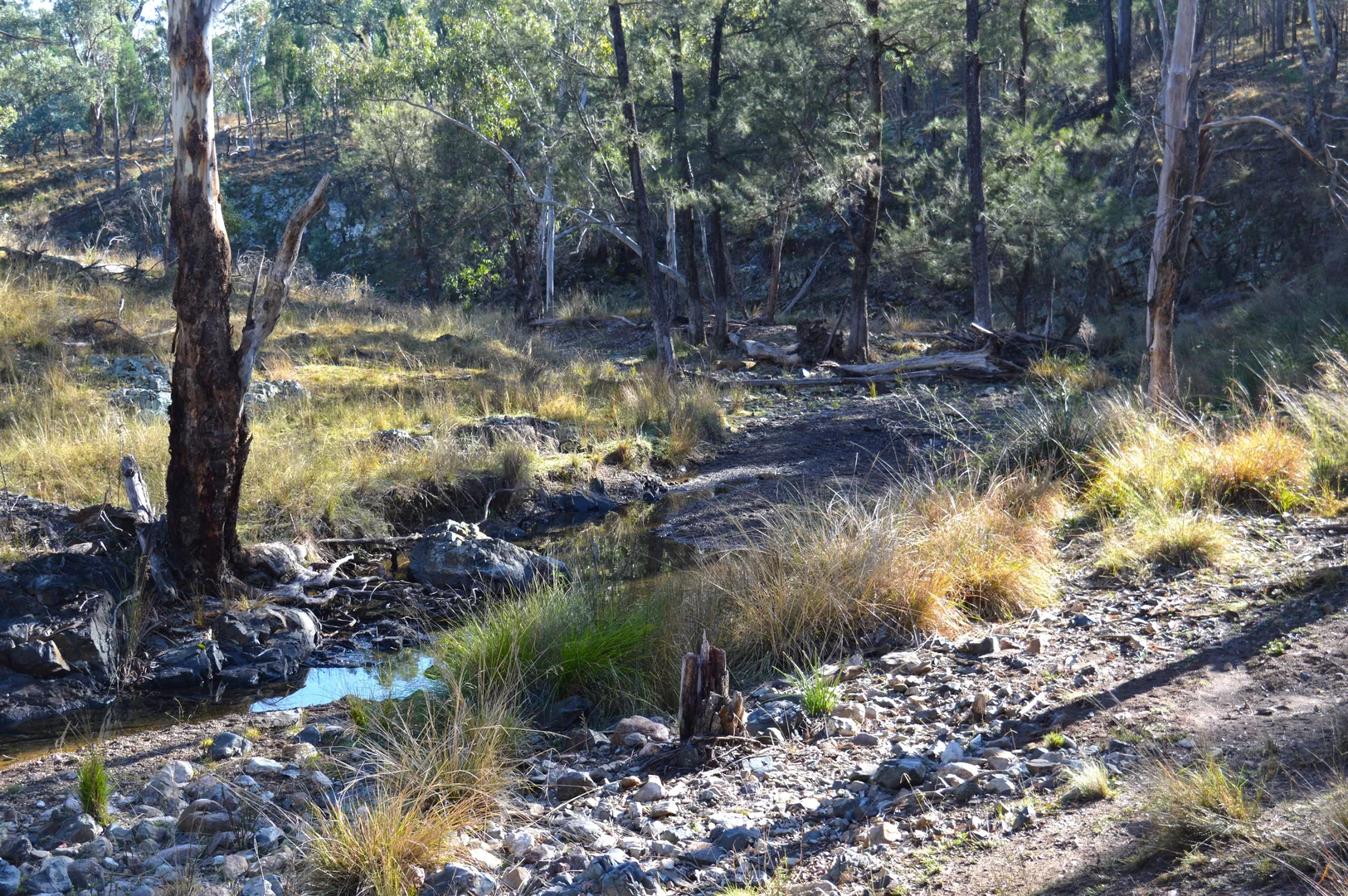 Additional image 8 of Hollybank Road, Inglewood QLD 4387