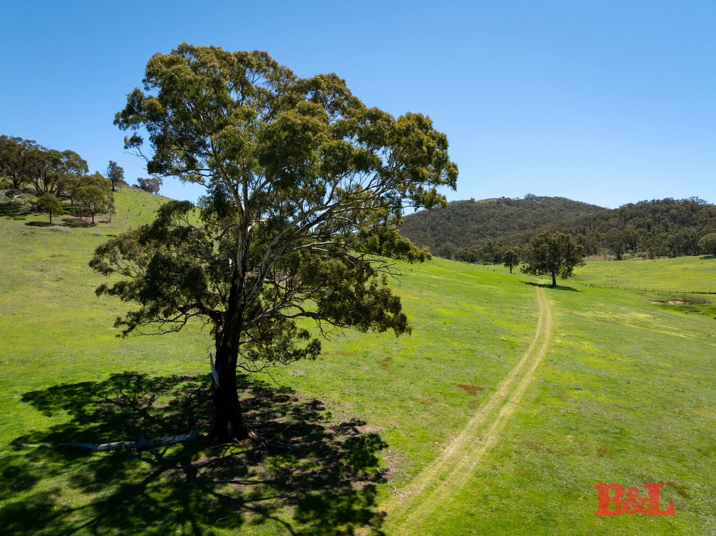 Additional image 6 of 1977 Tarana Road, Gemalla NSW 2795