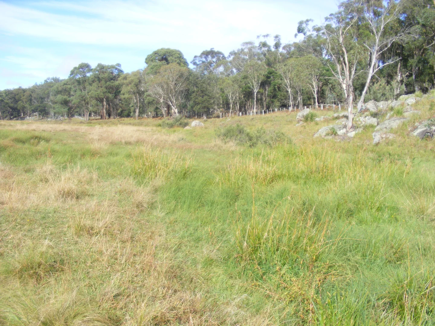 Additional image 13 of 618 Coopers Road, Red Range NSW 2370