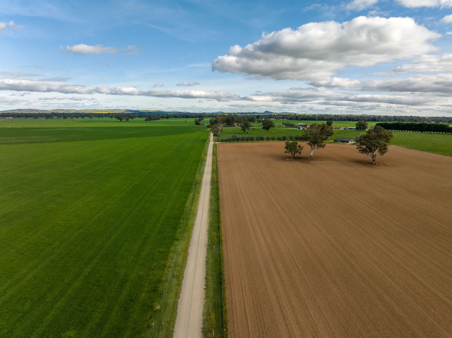 Additional image 5 of 1871 Old Narrandera Road, Euberta NSW 2650
