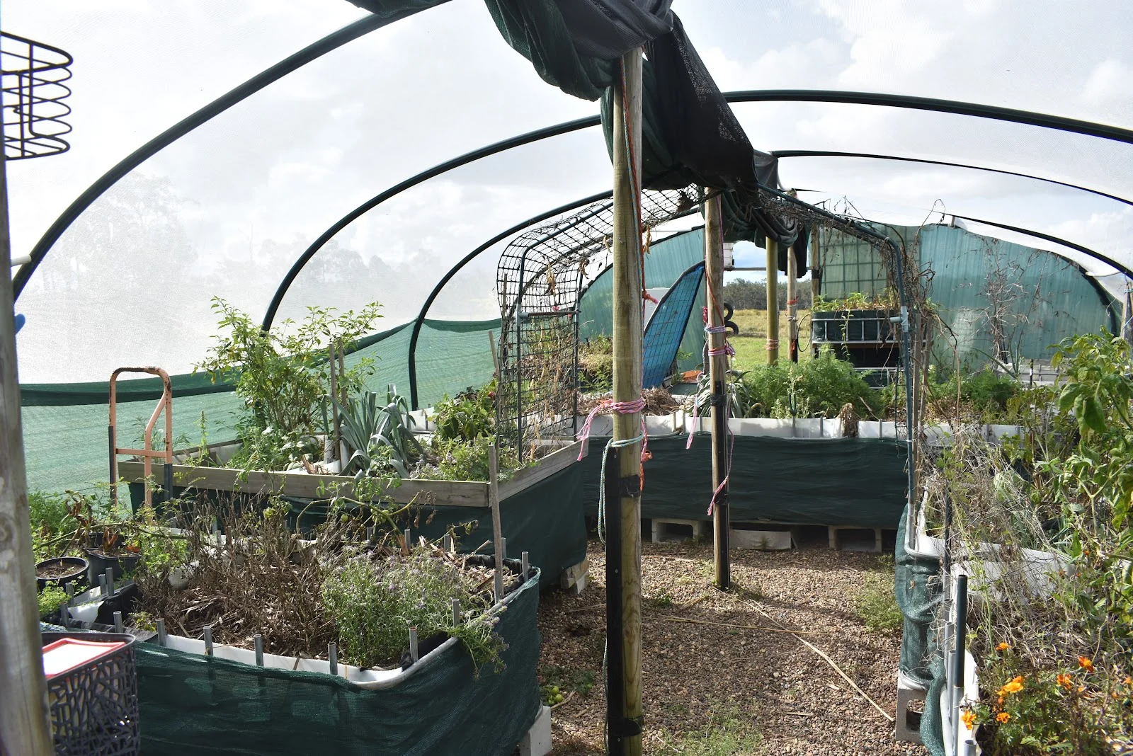 Additional image 29 of 539 Old Gayndah Road, Dunmora QLD 4650