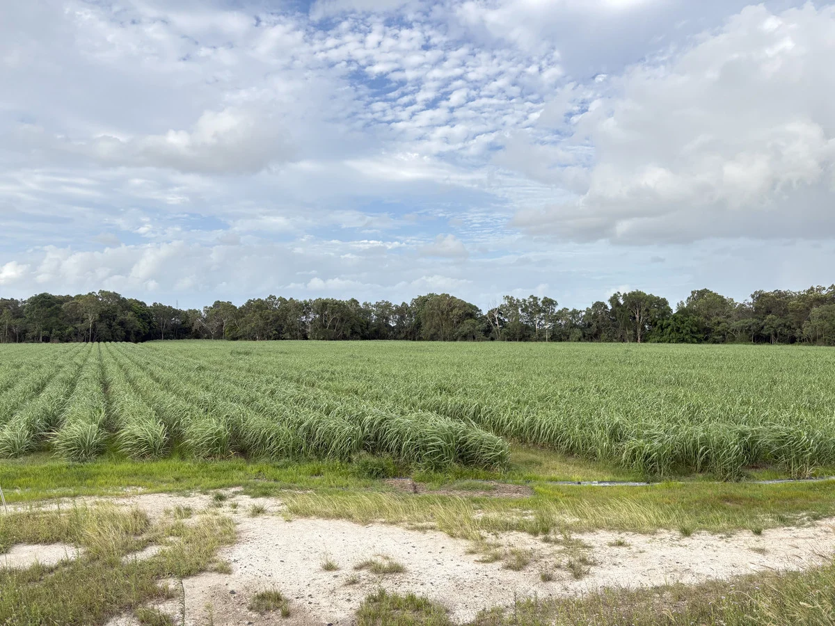 Additional image 9 of 2 Oakenden Sarina Road, Oakenden QLD 4741