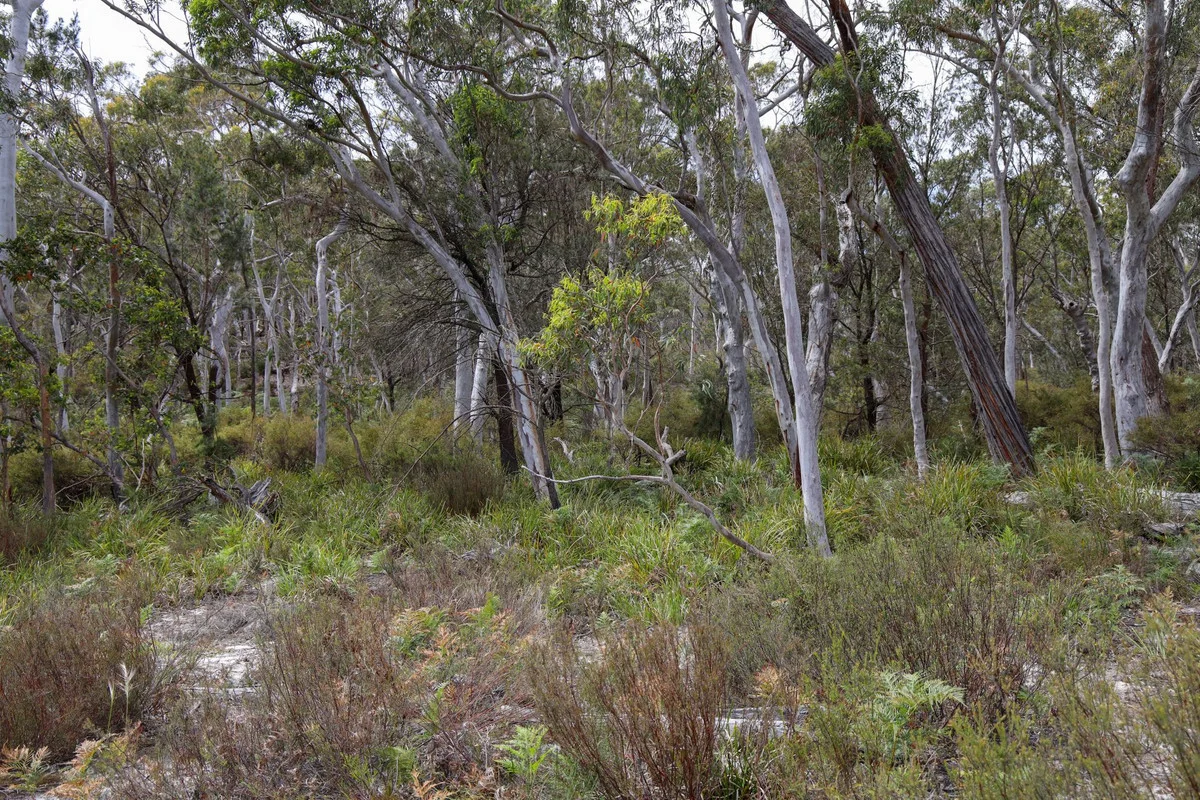 Additional image 8 of 1887 Oallen Ford Road, Oallen NSW 2622