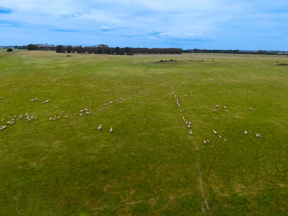 Additional image 15 of Huf's Back Lane, Warrayure VIC 3301