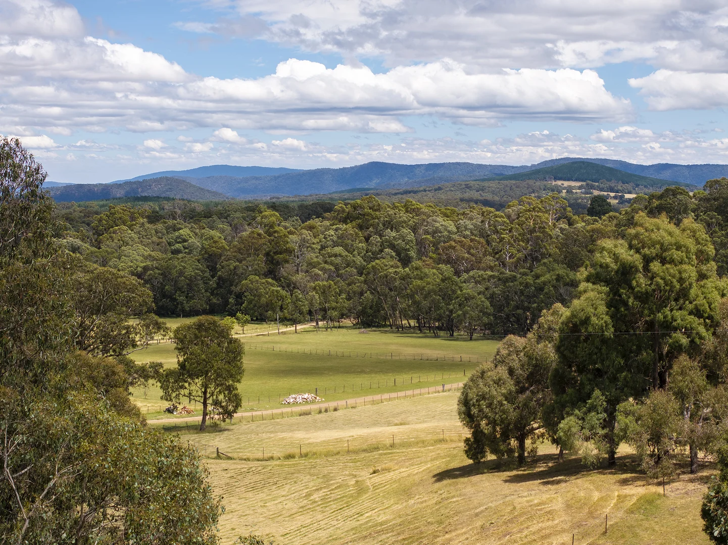 Additional image 19 of 2596 Mansfield-Whitfield Road, Tolmie VIC 3723