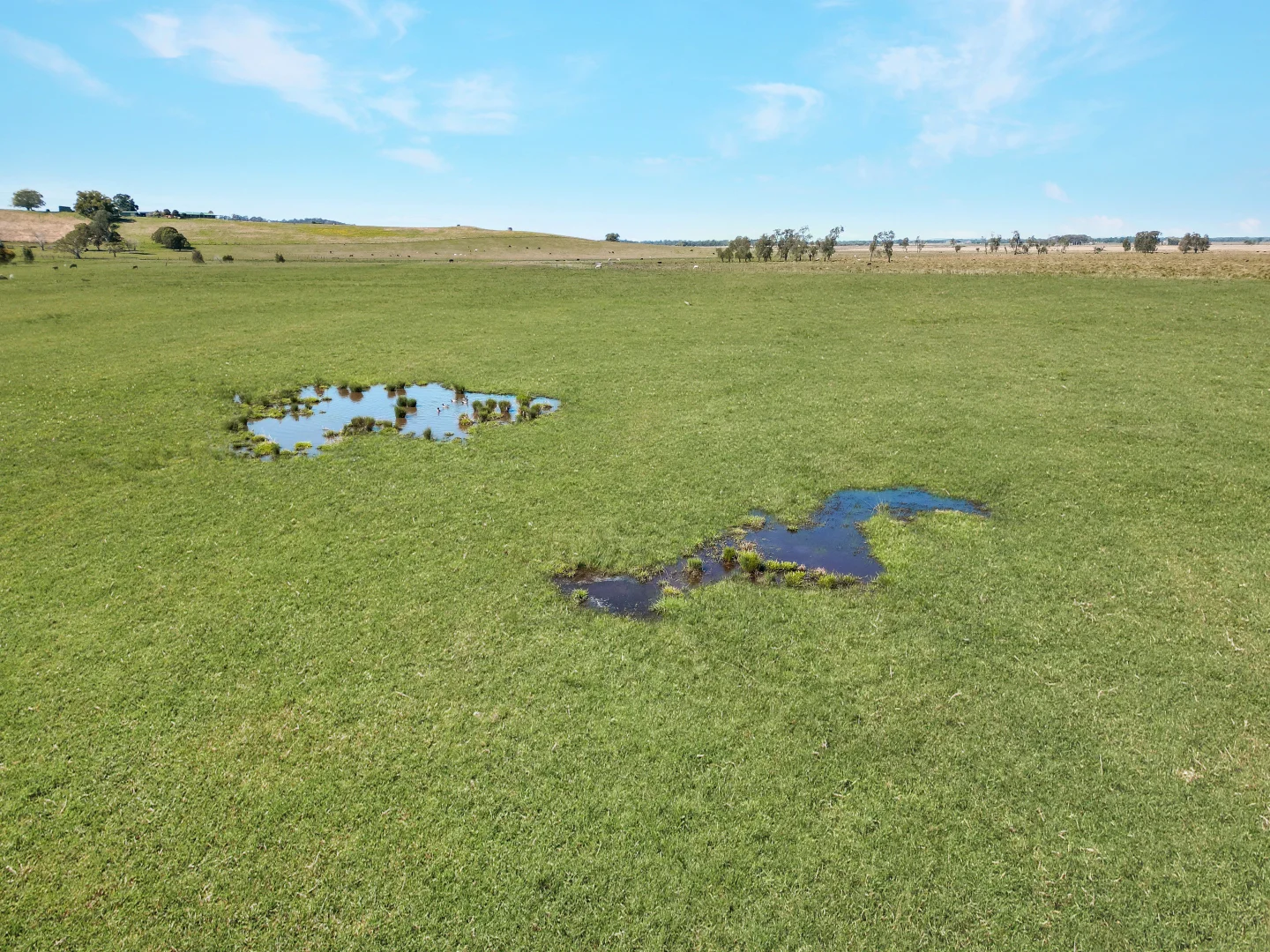 Additional image 9 of 955 Spring Grove Road, Spring Grove NSW 2470