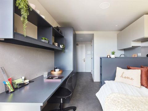 Lewes Road, Brighton BN2, Studio to rent