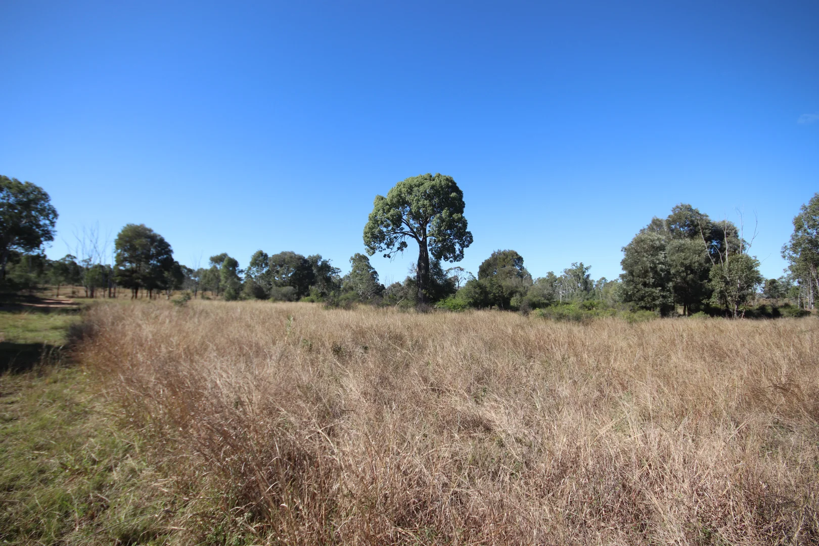 Additional image 8 of 8 Screening Plant Road, Cynthia, Eidsvold QLD 4627