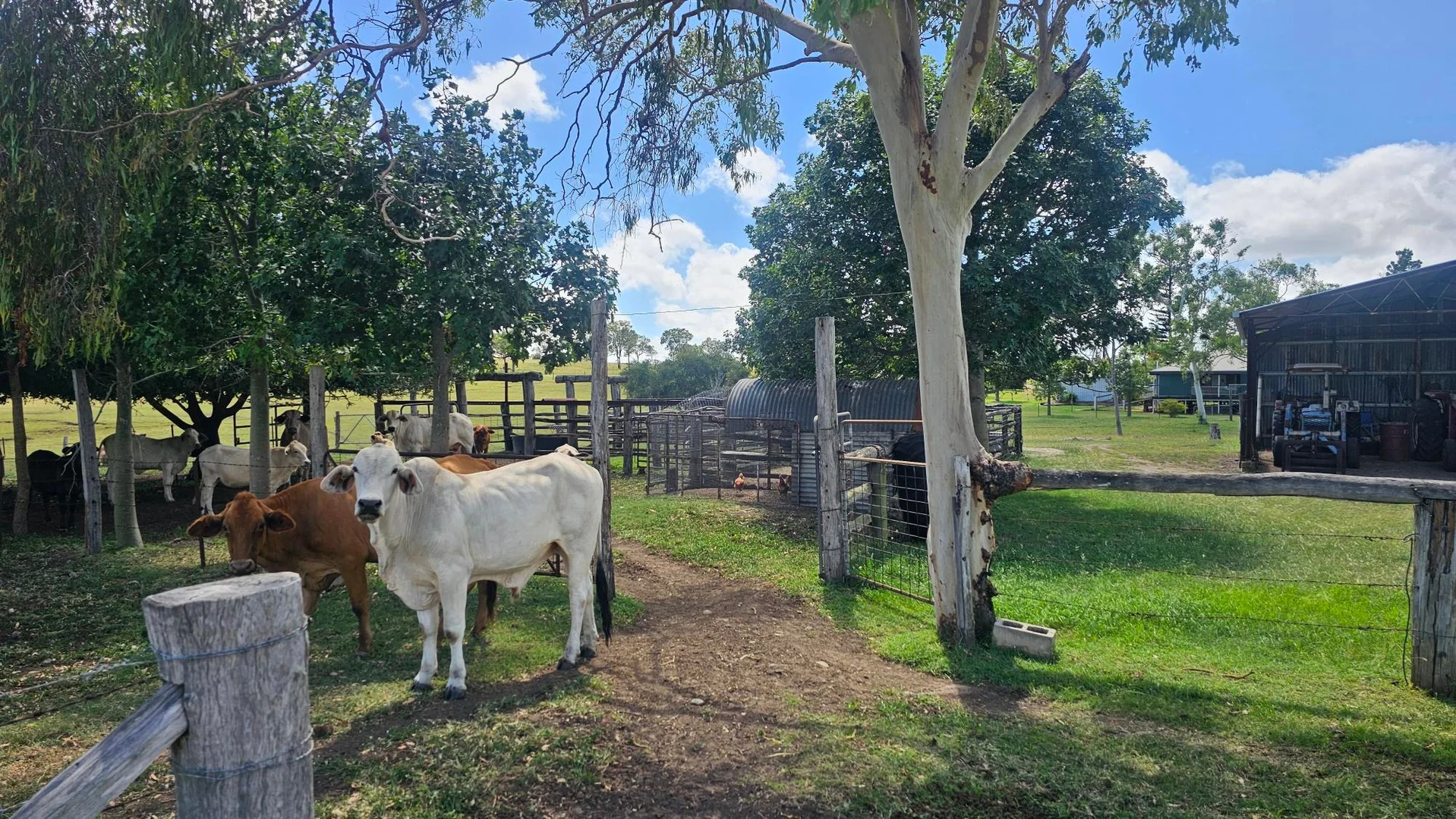 Additional image 28 of 58 Kabralea Road, Kabra QLD 4702