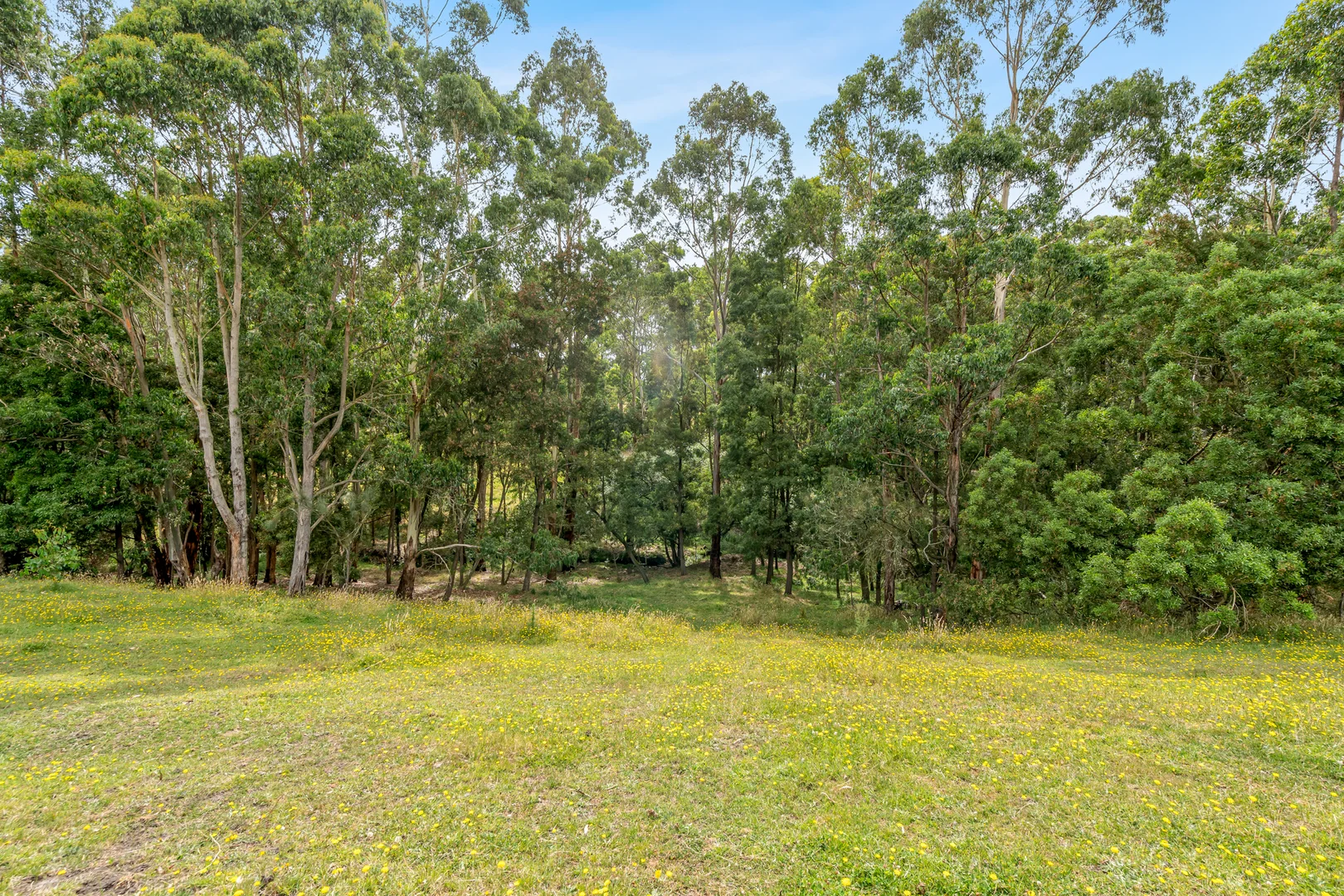 Additional image 21 of 749 Coradjil Road, Simpson VIC 3266