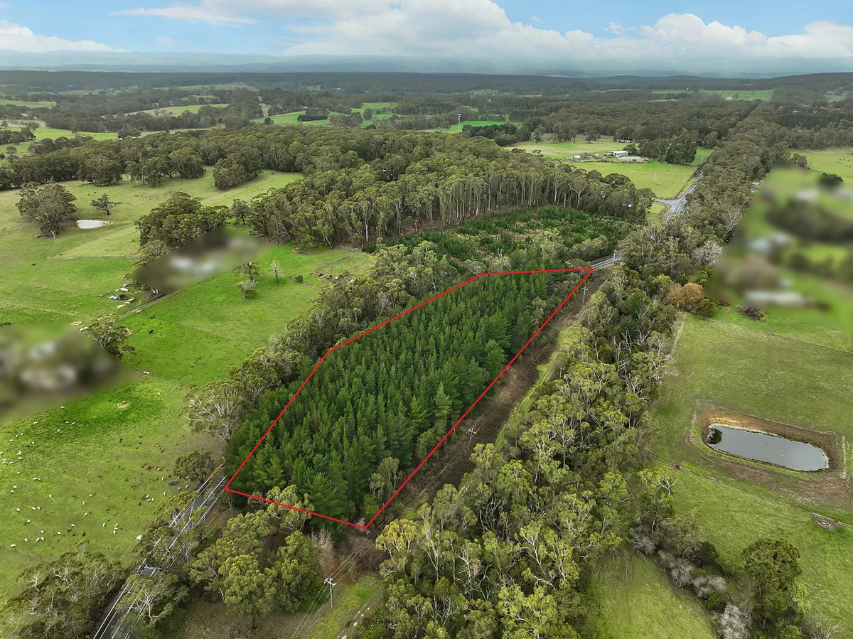 Additional image 3 of 380 & 395 Colac-Lavers Hill Road, Barongarook VIC 3249