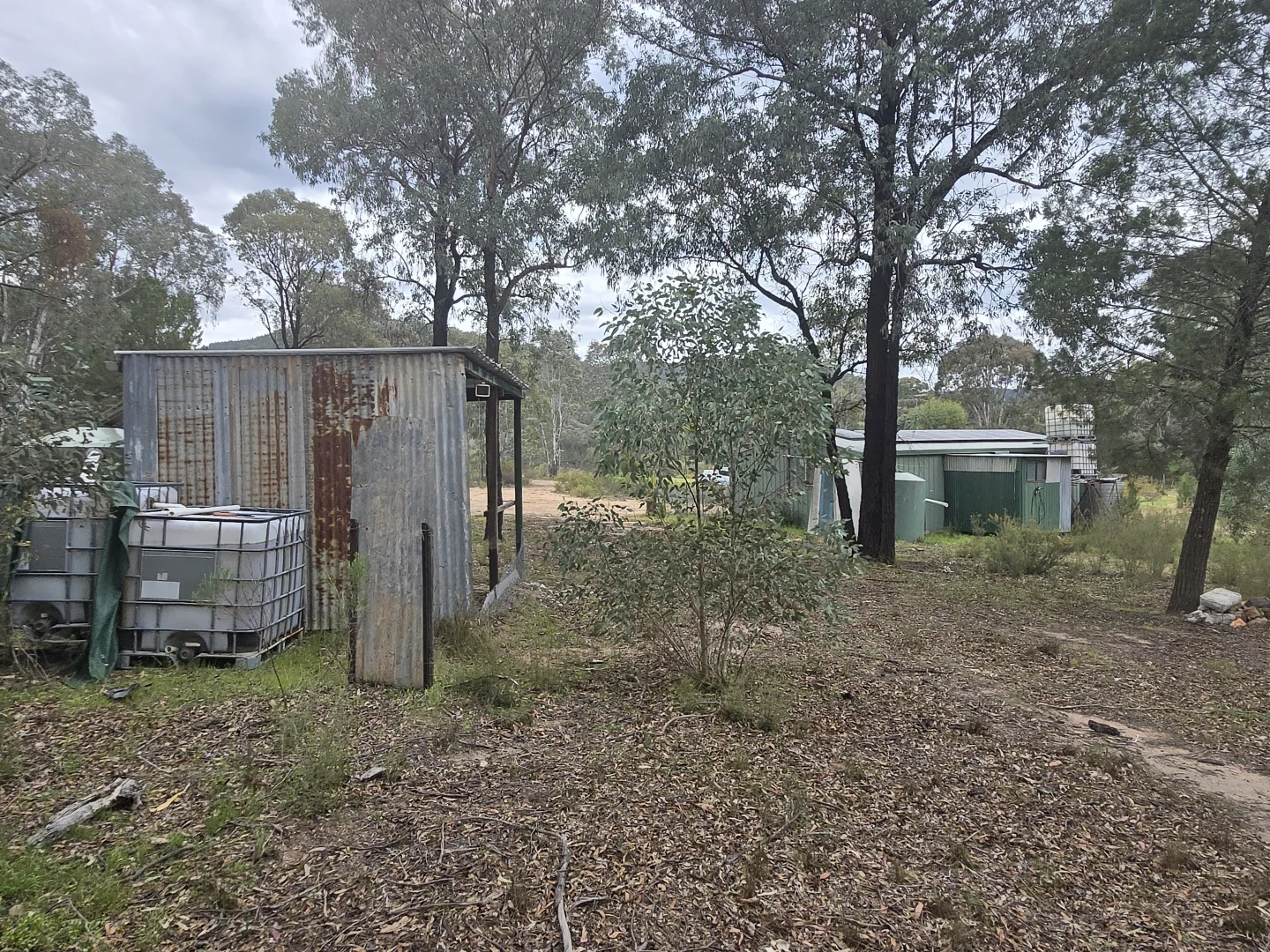 Additional image 15 of 1657 Kangarooby Road, Gooloogong NSW 2805