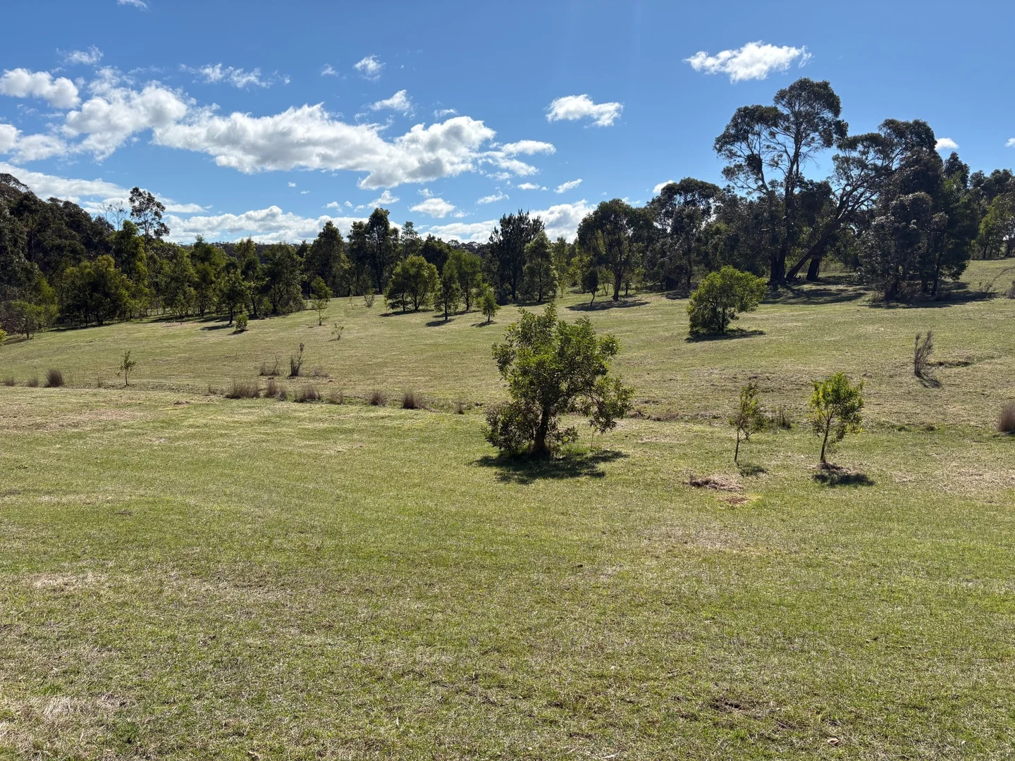 Additional image 13 of 537 Staffordshire Reef Road, Staffordshire Reef VIC 3351