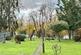 Additional image 13 of North Poulner Road, Ringwood, BH24 1SD