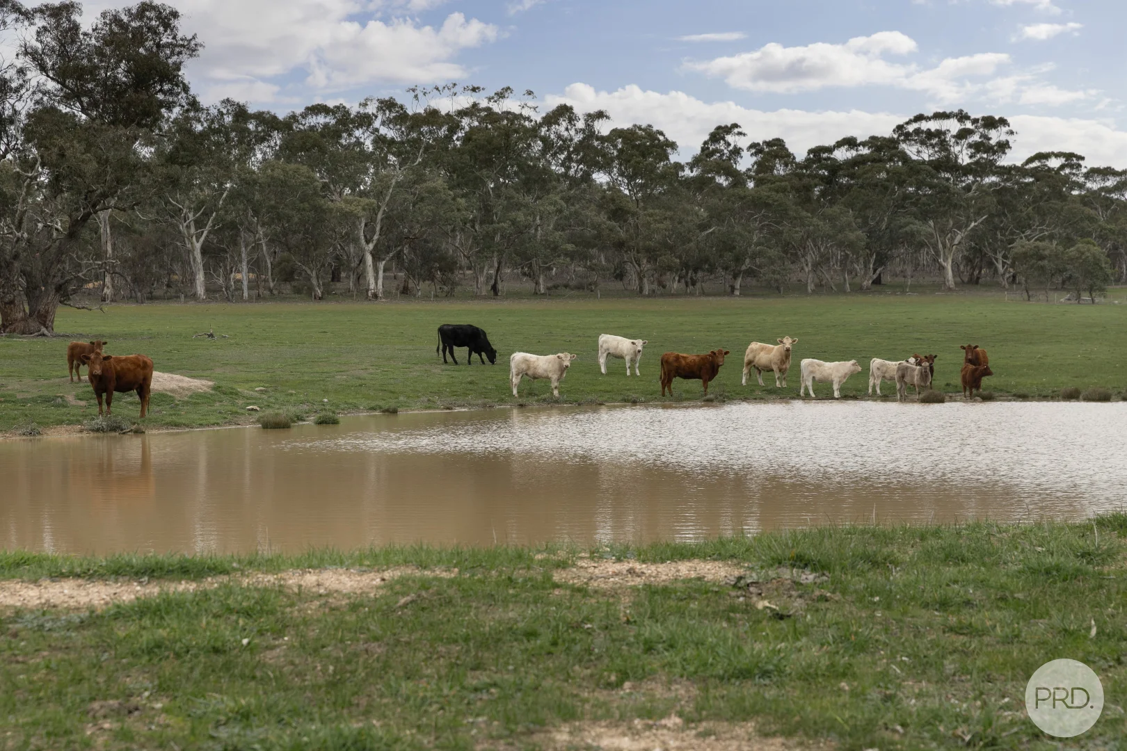 Additional image 6 of 203 Browns Road, Burnbank VIC 3371