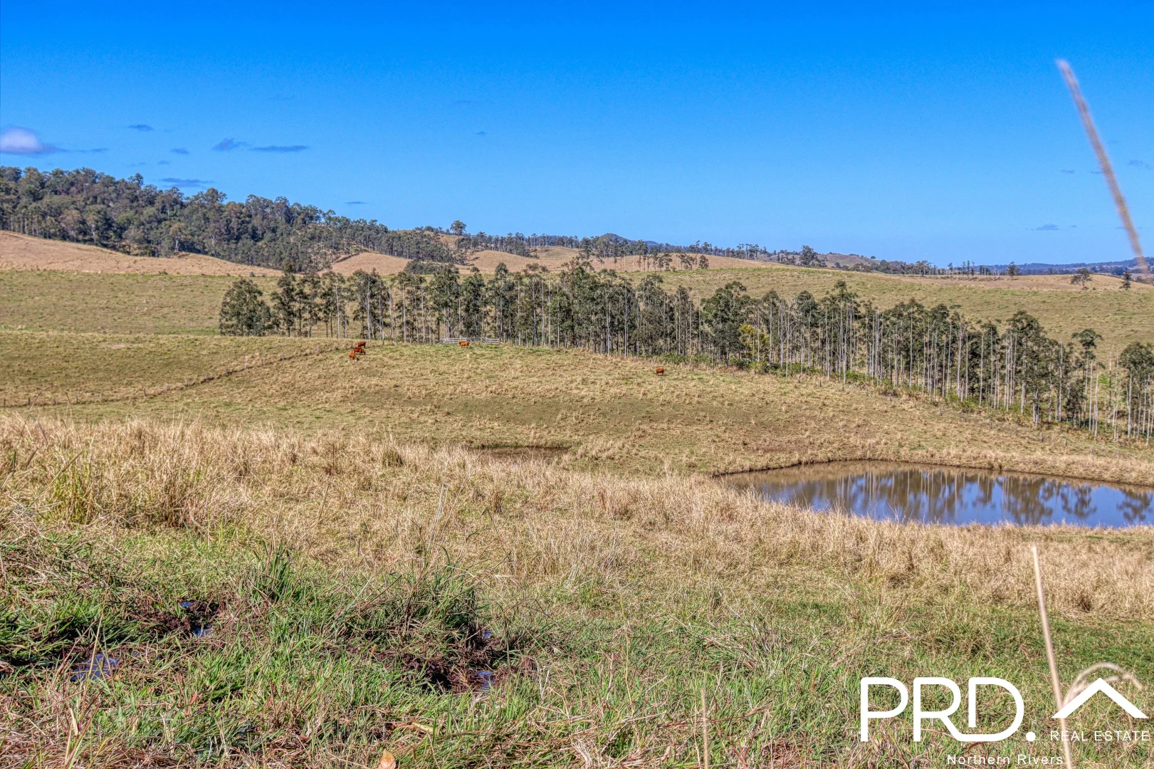 Additional image 12 of Lot 30, 46 Lynches Creek Road, Wiangaree NSW 2474