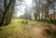 Additional image 20 of 'Four-acre riverside smallholding with private fishing rights and income potential'