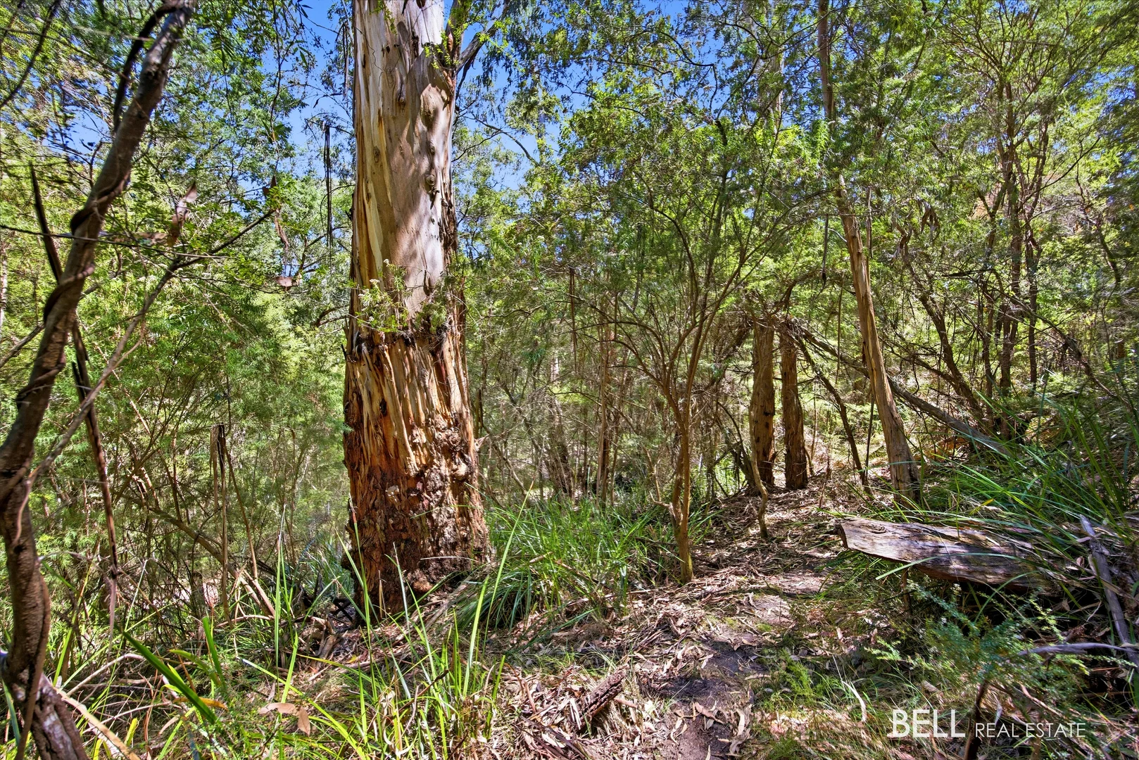 Additional image 7 of 23 Glenbrook Road, Warburton VIC 3799