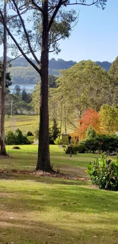 Additional image 35 of 3062 Princes Highway, Millingandi NSW 2549