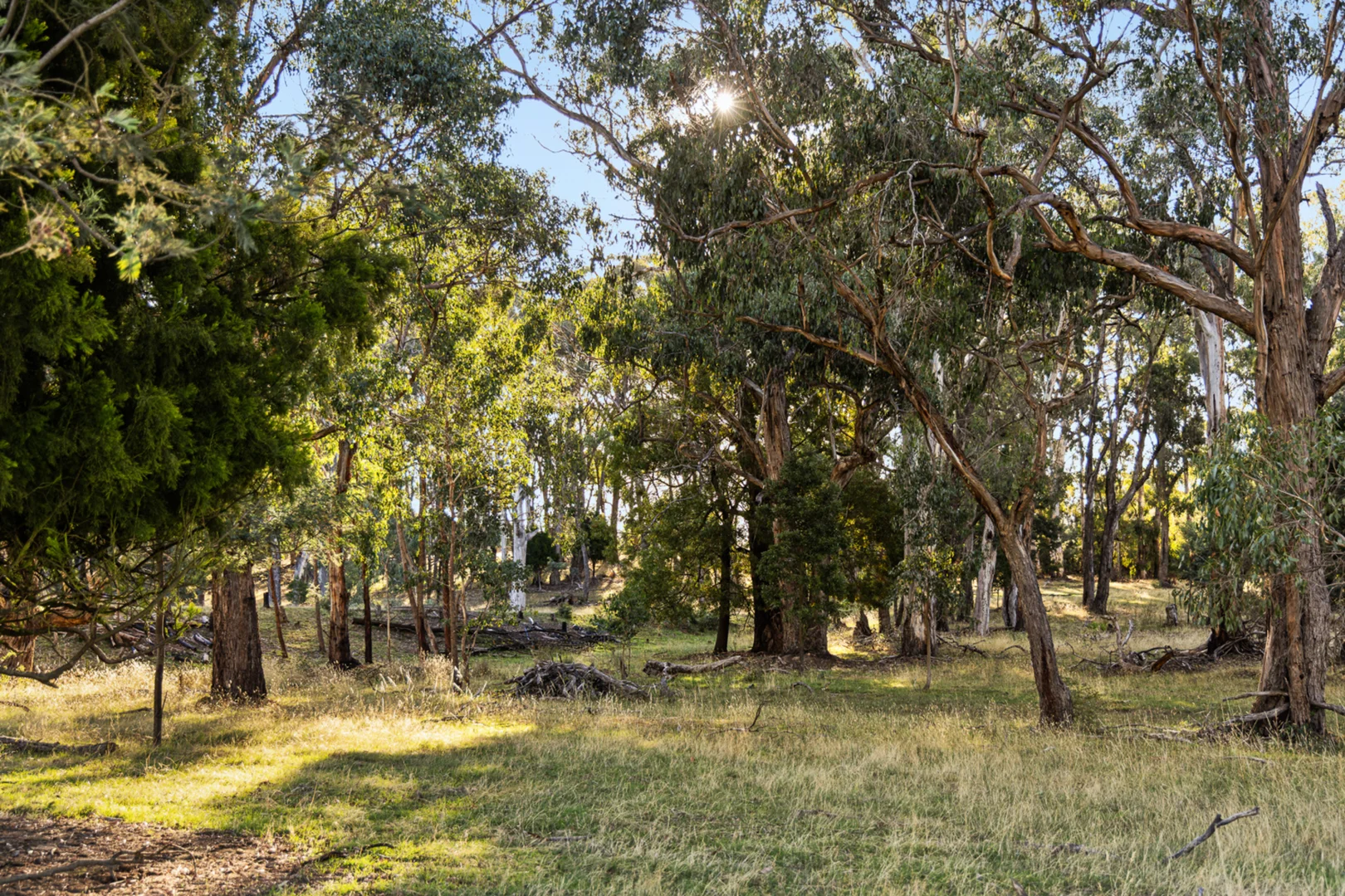 Additional image 26 of 303 Sawmill Road, Springmount VIC 3364