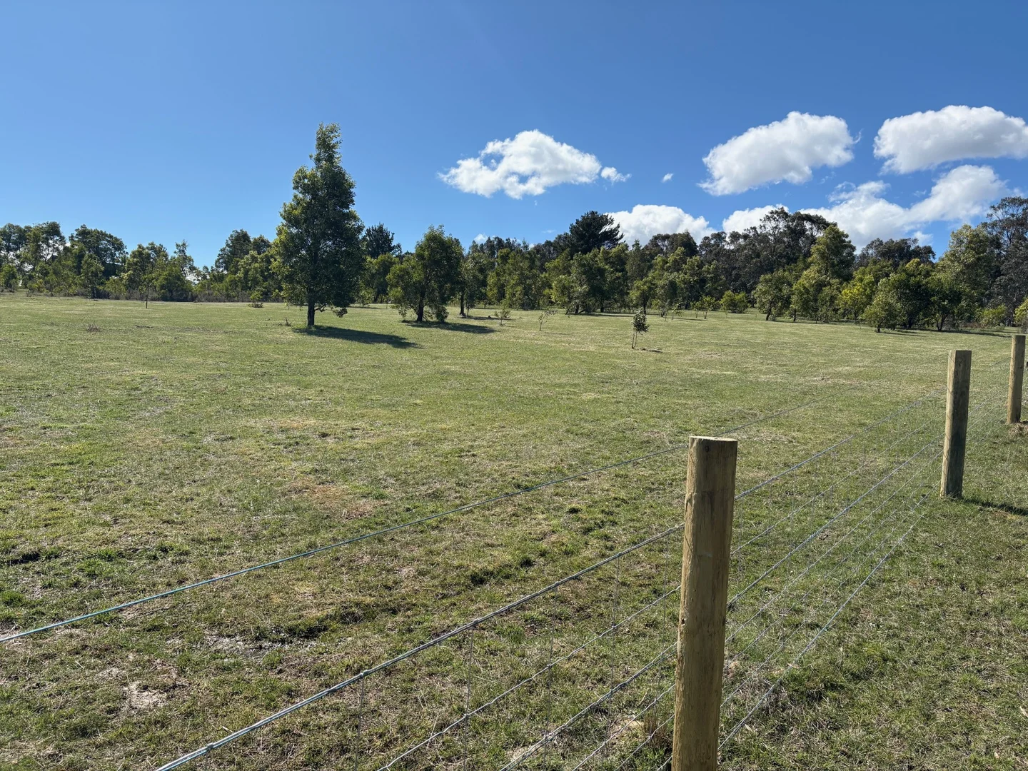 Additional image 14 of 537 Staffordshire Reef Road, Staffordshire Reef VIC 3351