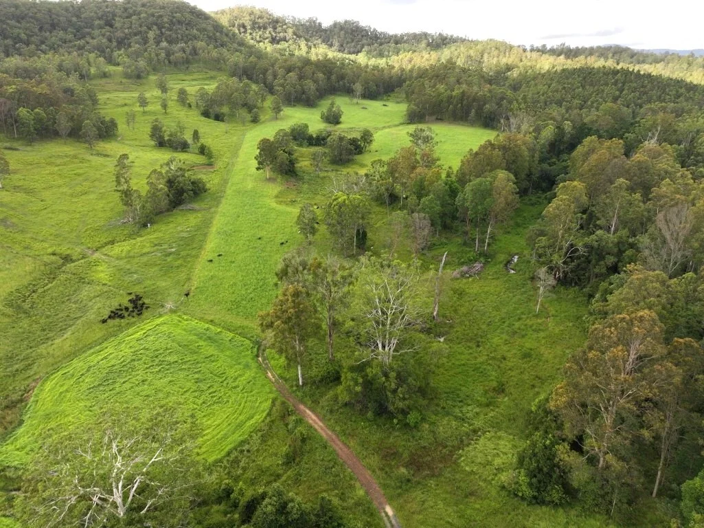 Additional image 8 of 1023 Iron Pot Creek Rd, Kyogle NSW 2474
