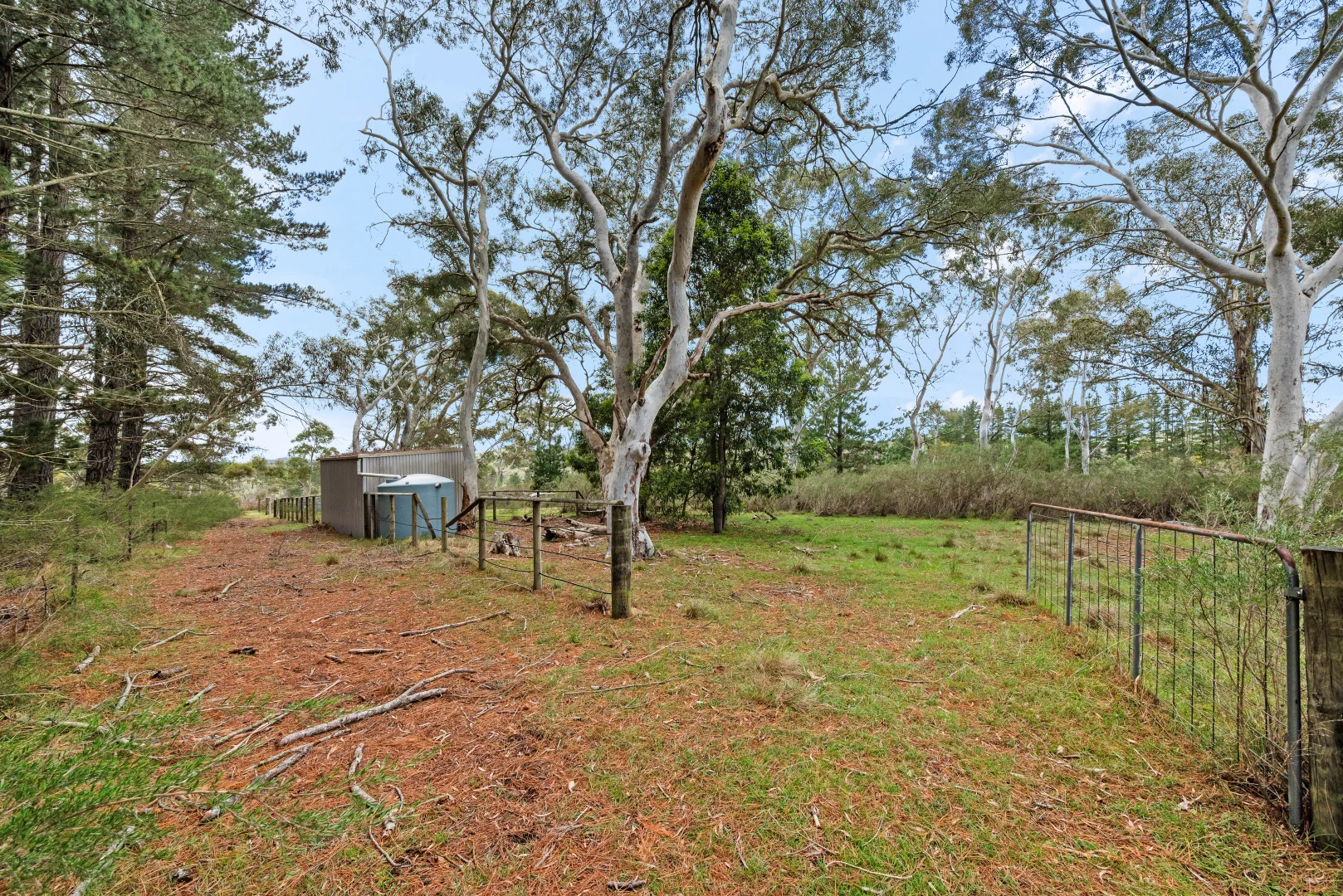 Additional image 29 of 86 Gilberts Lane, Braidwood NSW 2622