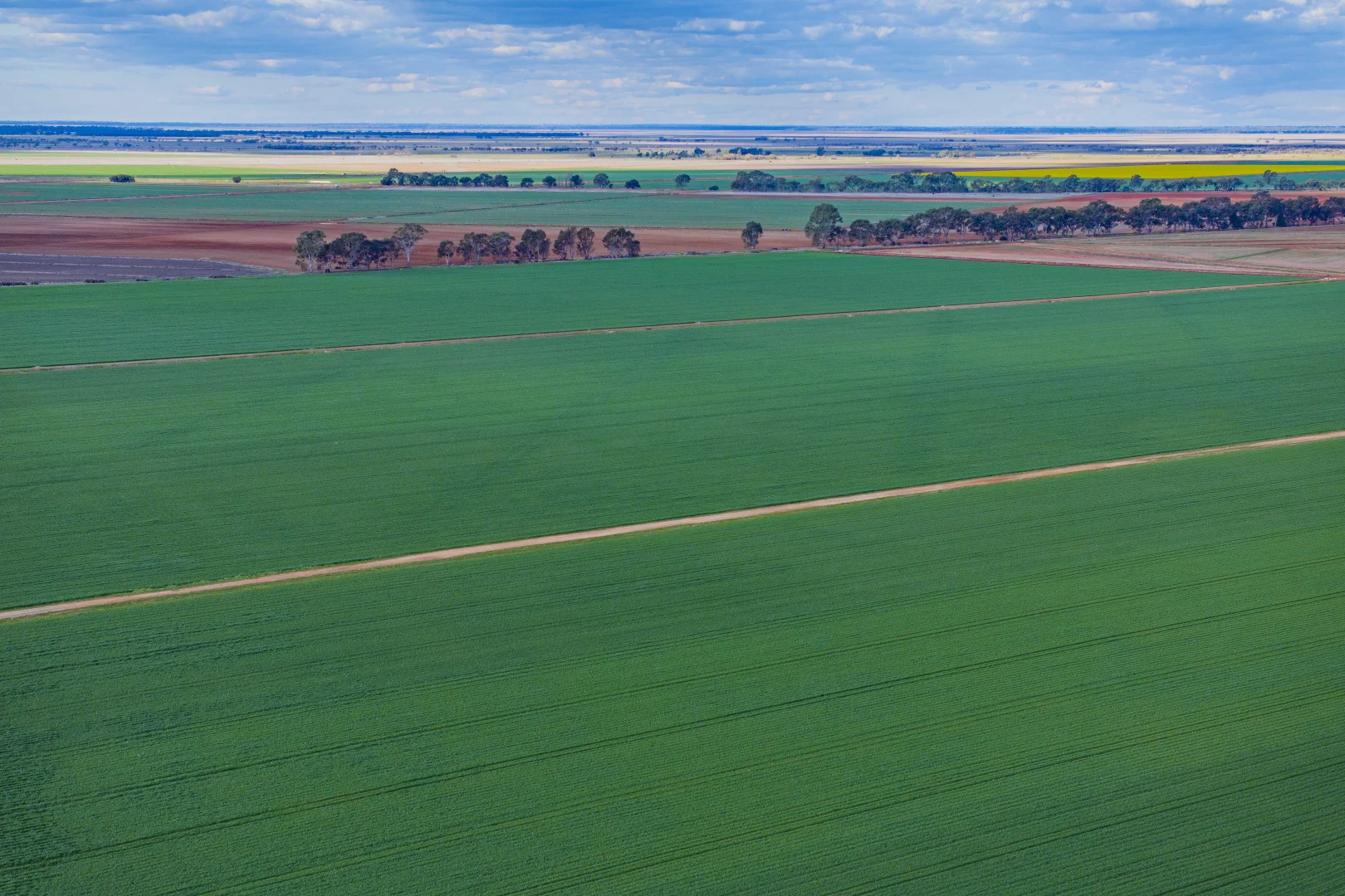 Additional image 2 of Glenn Road, Coleambally NSW 2707