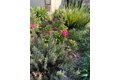Additional image 27 of 2056 Elwin Way, Modesto, CA, 95350