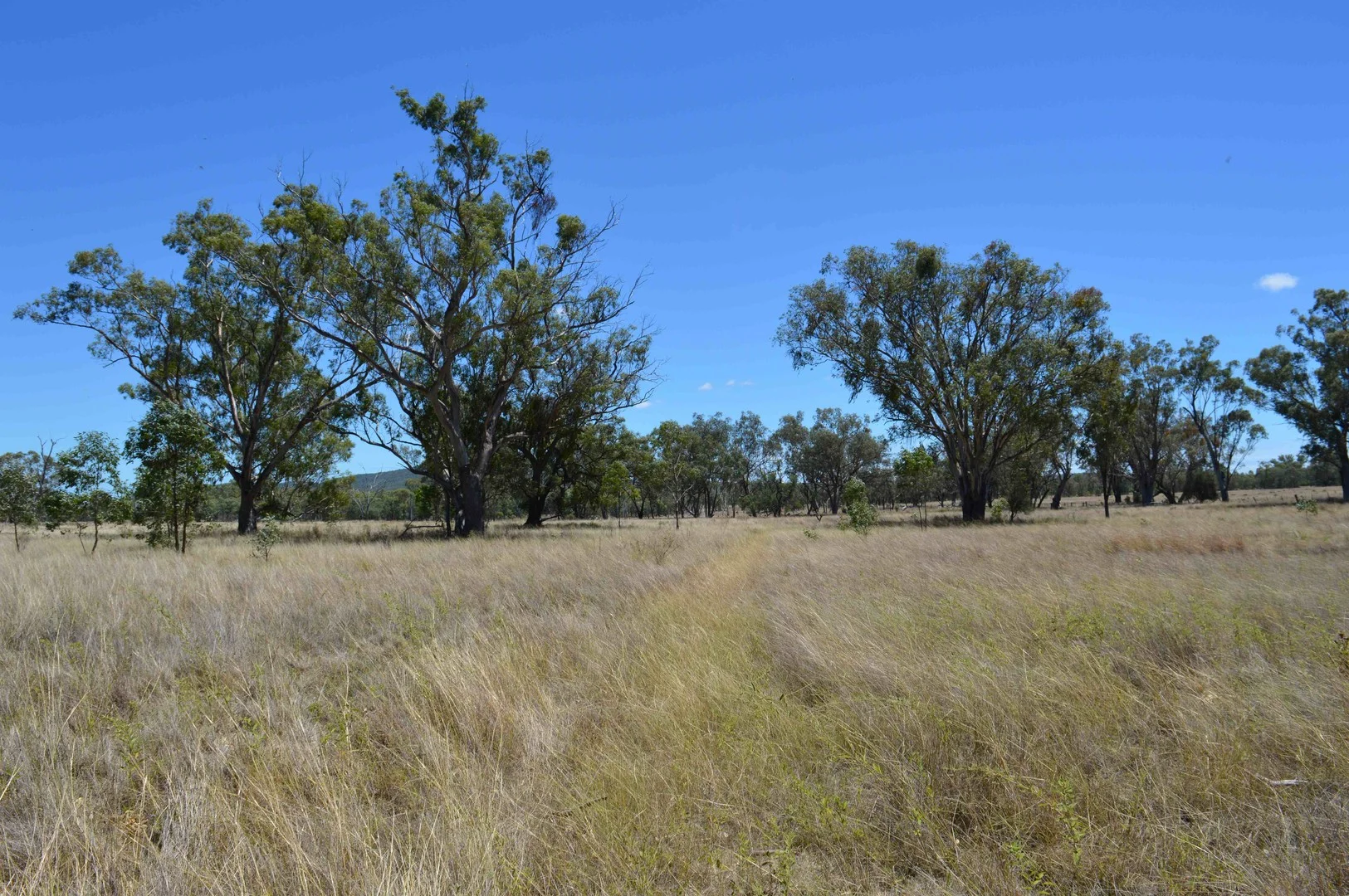 247 Uandi Road, Inglewood QLD 4387