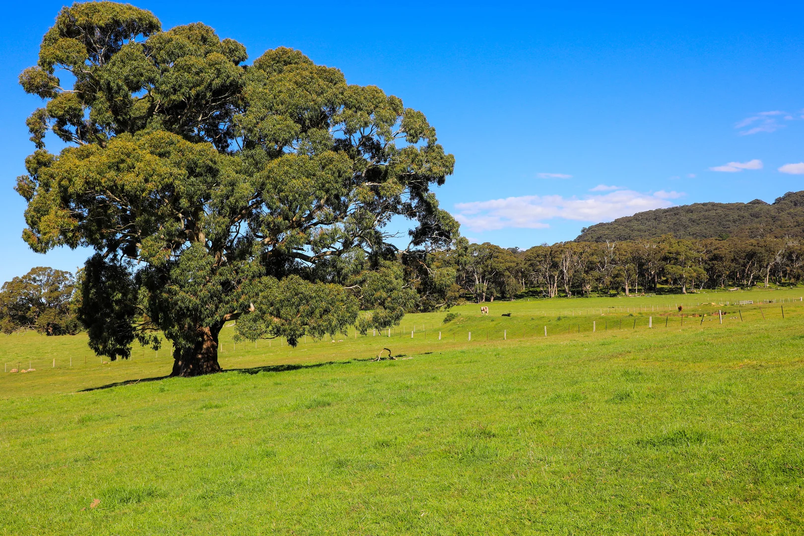 Additional image 16 of 154 Straws Lane, Hesket VIC 3442