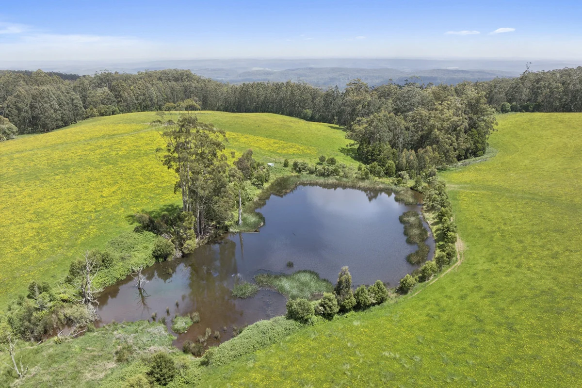 Additional image 26 of 4230 Colac-Lavers Hill Road, Weeaproinah VIC 3237