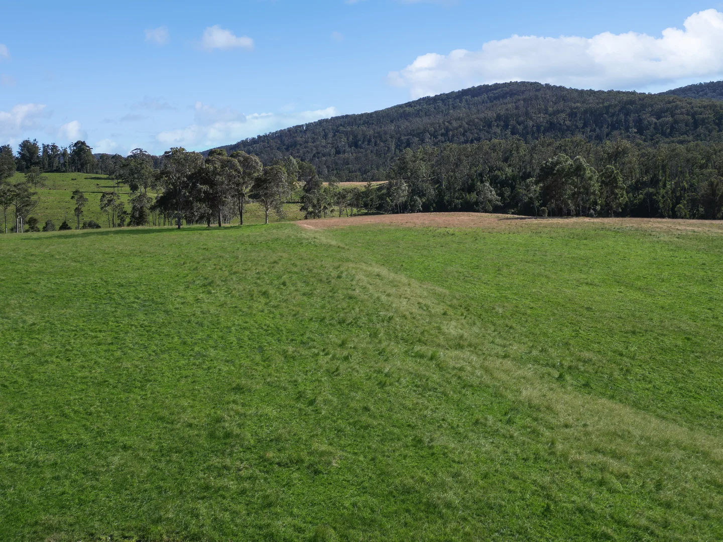 Additional image 5 of Nowendoc NSW 2354