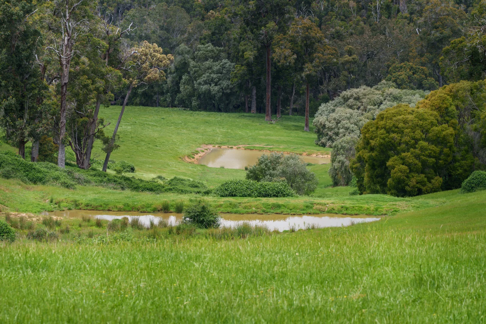 Additional image 17 of Lot 4 Kammann Road (Upper Warren), Manjimup WA 6258