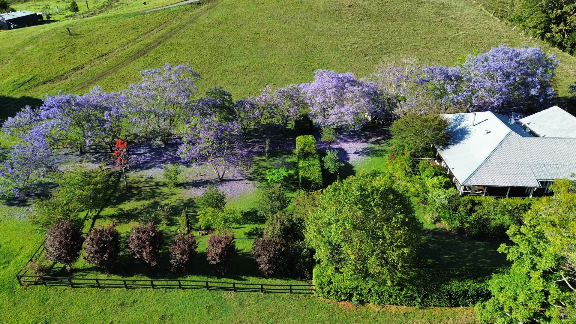 Additional image 4 of 466 Sarabah Road, Sarabah QLD 4275