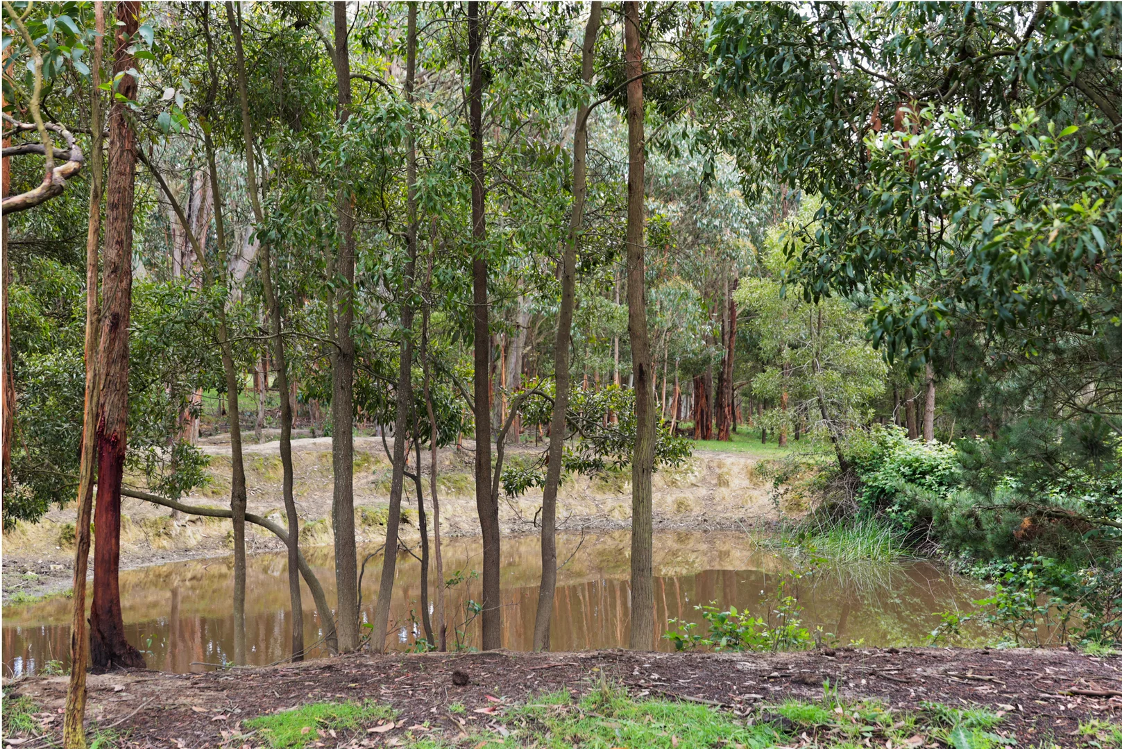 Additional image 19 of 135 Boldiston Road, Woodend VIC 3442