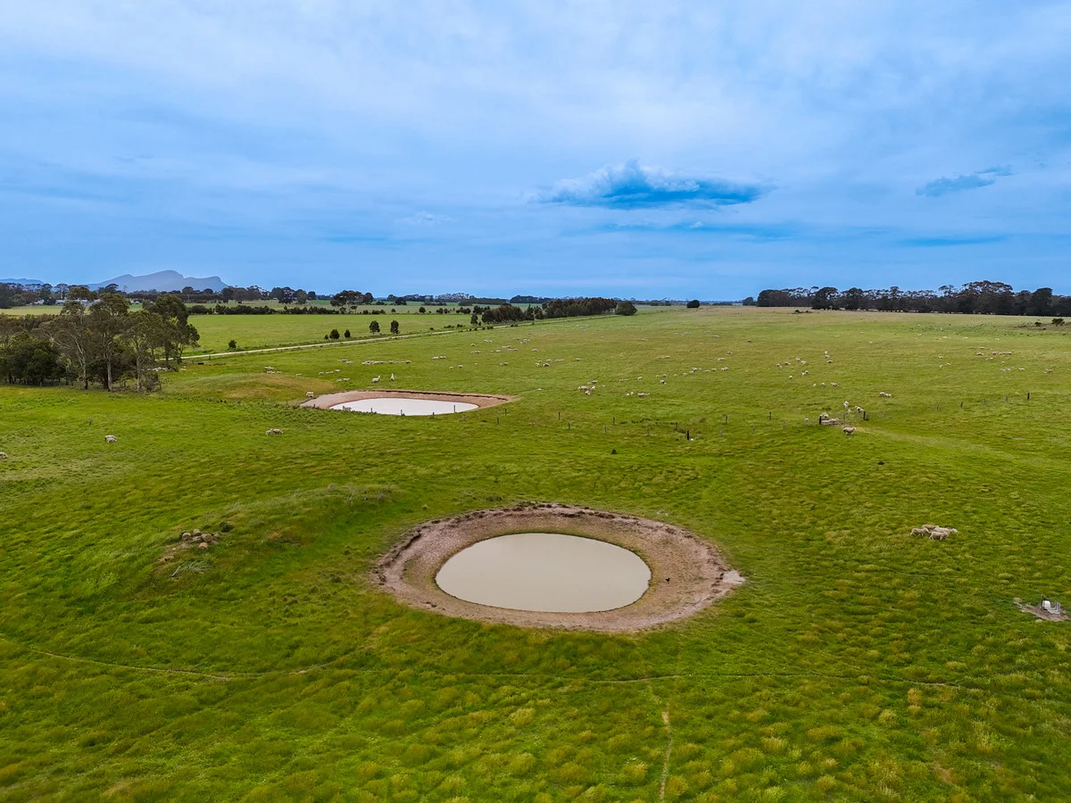 Additional image 16 of Huf's Back Lane, Warrayure VIC 3301